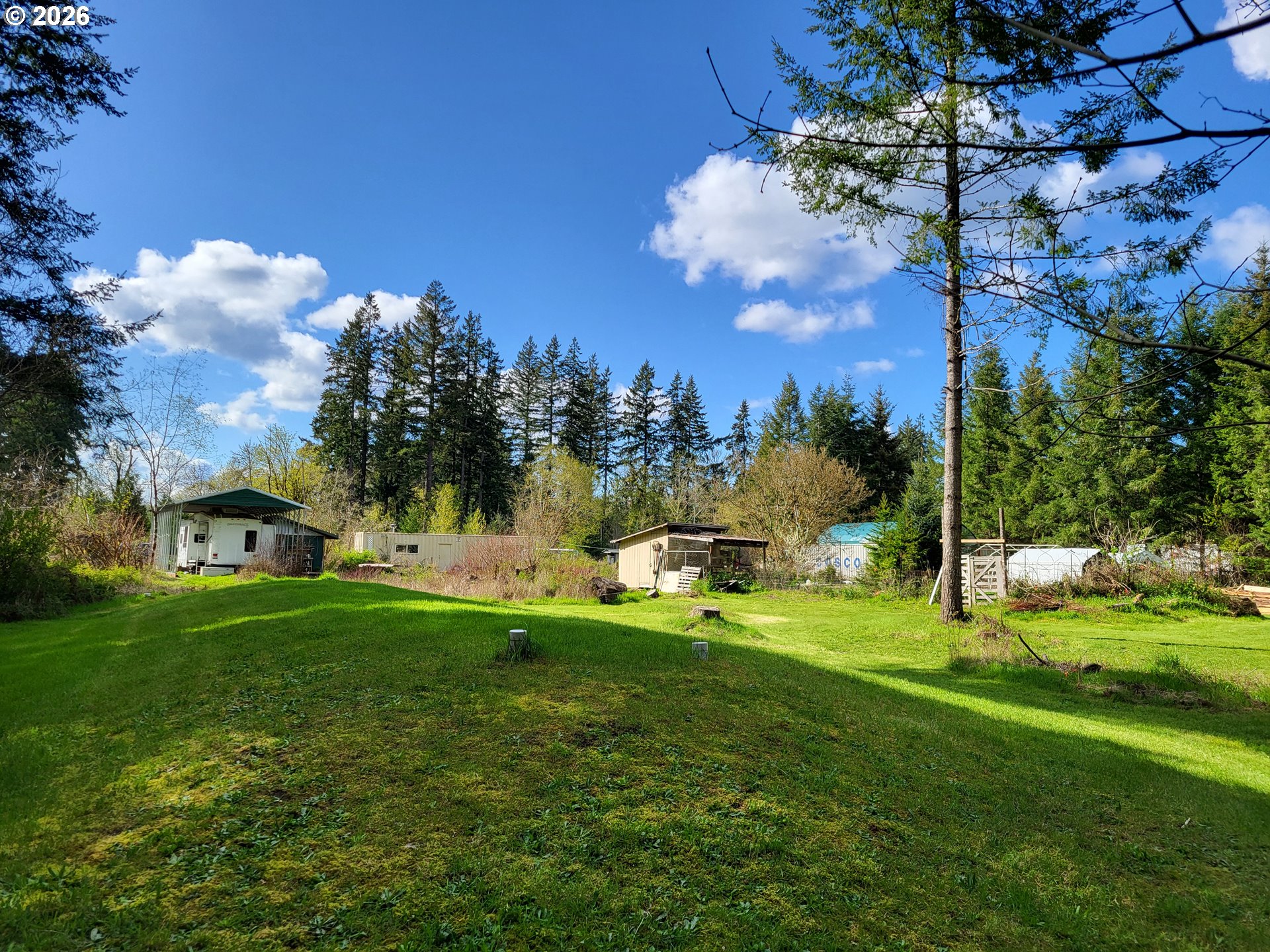 505 State Highway Winlock, WA 98596 - Photo 3 of 13 a view of a park with large trees