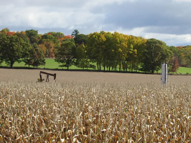 $190,000 | 0000 Briggs Road, Stanton, MI 48888