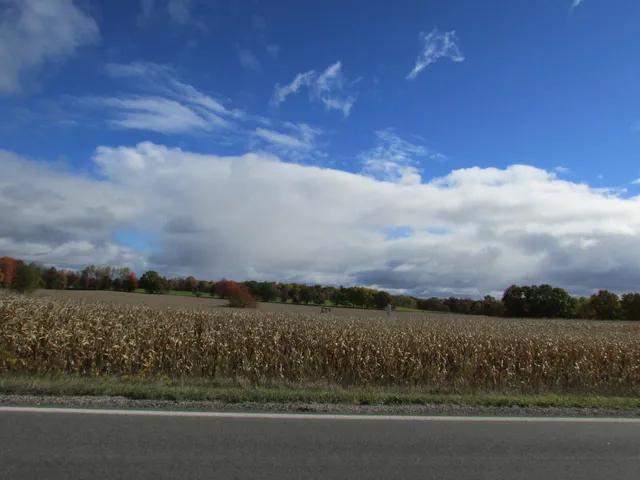 $190,000 | 0000 Briggs Road, Stanton, MI 48888