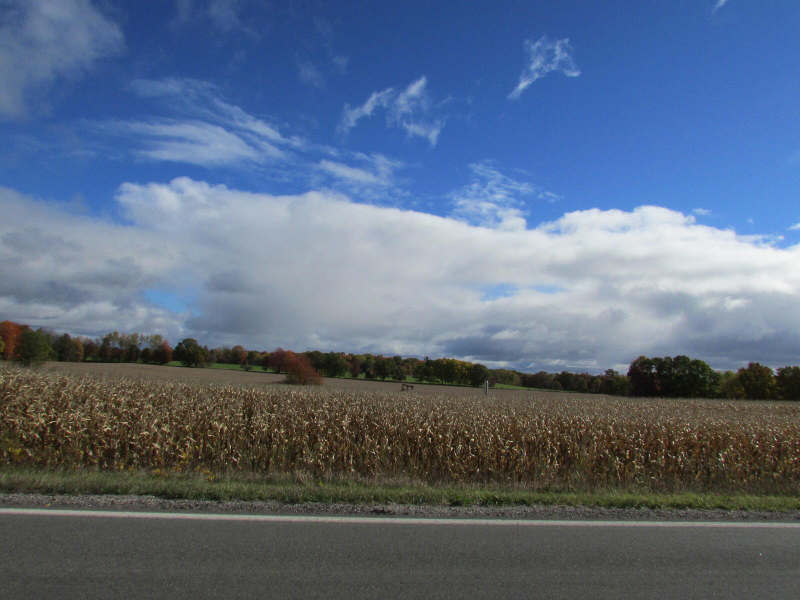 0000 Briggs Road Stanton, MI 48888 - Photo 11 of 16 IMG_7320