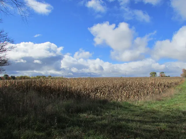 $190,000 | 0000 Briggs Road, Stanton, MI 48888