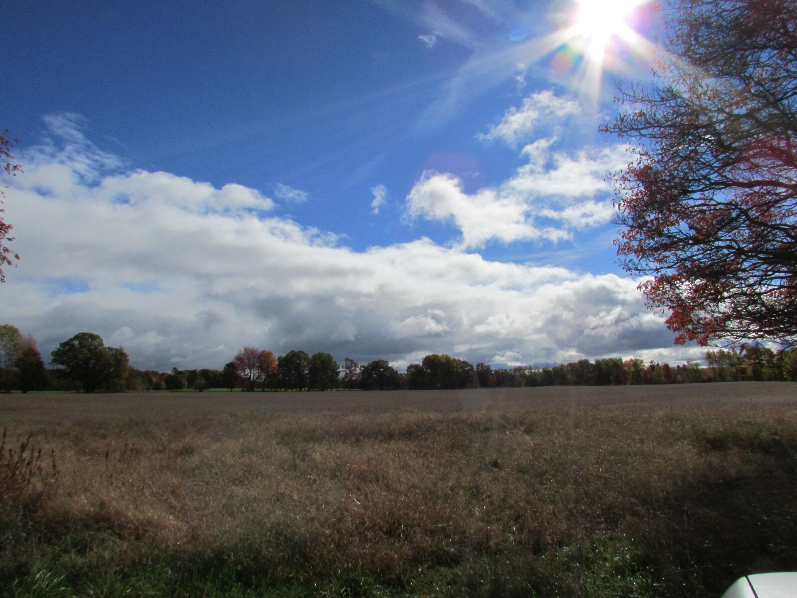 0000 Briggs Road Stanton, MI 48888 - Photo 13 of 16 IMG_7318