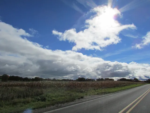 $190,000 | 0000 Briggs Road, Stanton, MI 48888