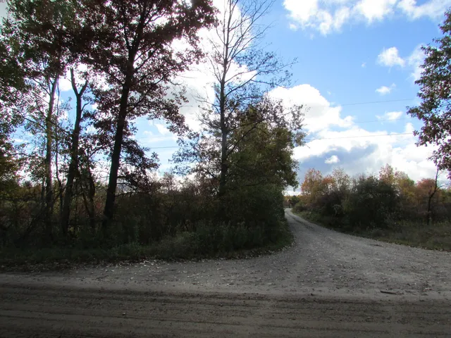 $190,000 | 0000 Briggs Road, Stanton, MI 48888