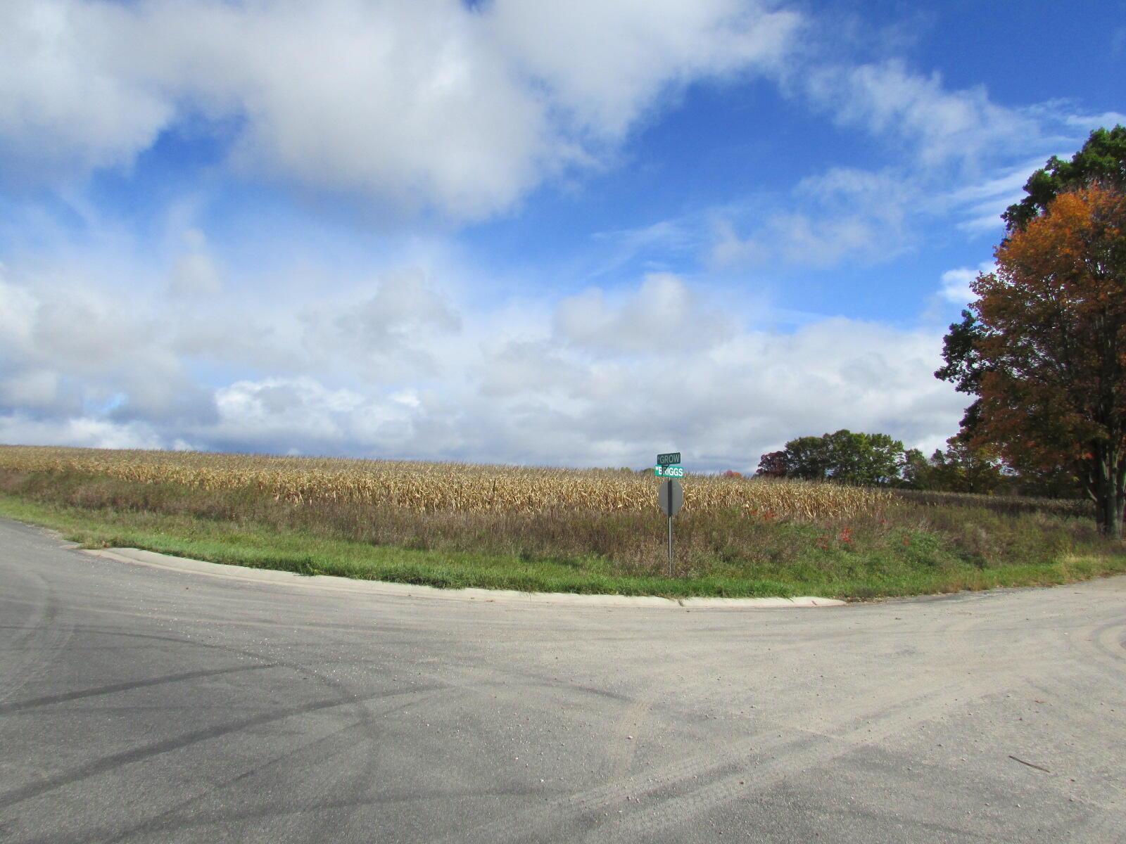0000 Briggs Road Stanton, MI 48888 - Photo 3 of 16 IMG_7322