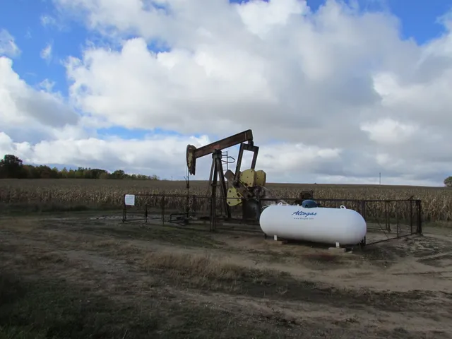 $190,000 | 0000 Briggs Road, Stanton, MI 48888