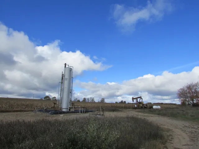 $190,000 | 0000 Briggs Road, Stanton, MI 48888