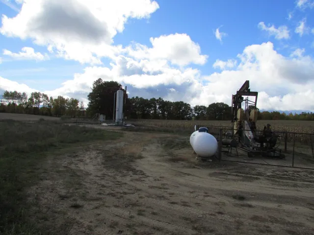 $190,000 | 0000 Briggs Road, Stanton, MI 48888