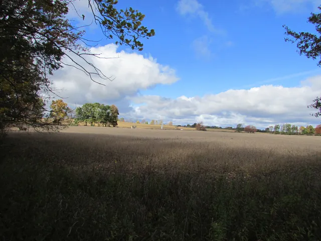 $190,000 | 0000 Briggs Road, Stanton, MI 48888