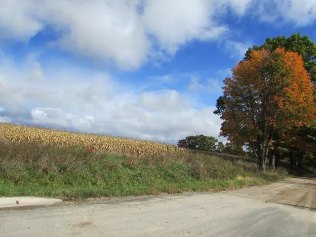 $190,000 | 0000 Briggs Road, Stanton, MI 48888