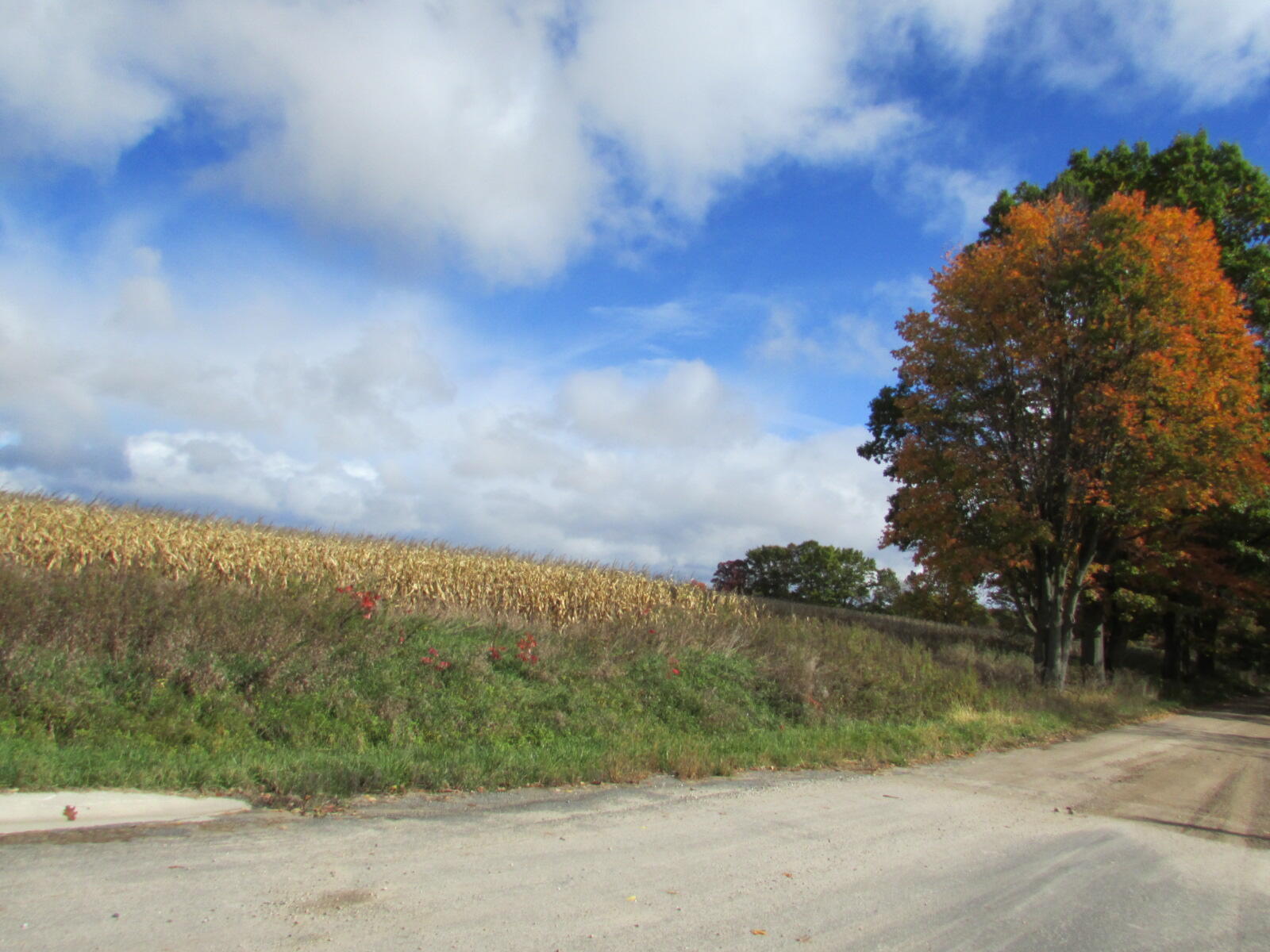 0000 Briggs Road Stanton, MI 48888 - Photo 8 of 16 IMG_7325