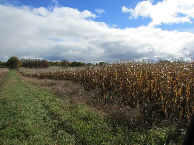 $190,000 | 0000 Briggs Road, Stanton, MI 48888