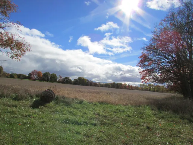 $190,000 | 0000 Briggs Road, Stanton, MI 48888