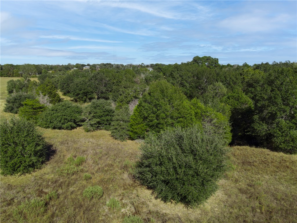 141 St Dime Dime Box, TX 77853 - Photo 2 of 9 a view of a bunch of trees in a field