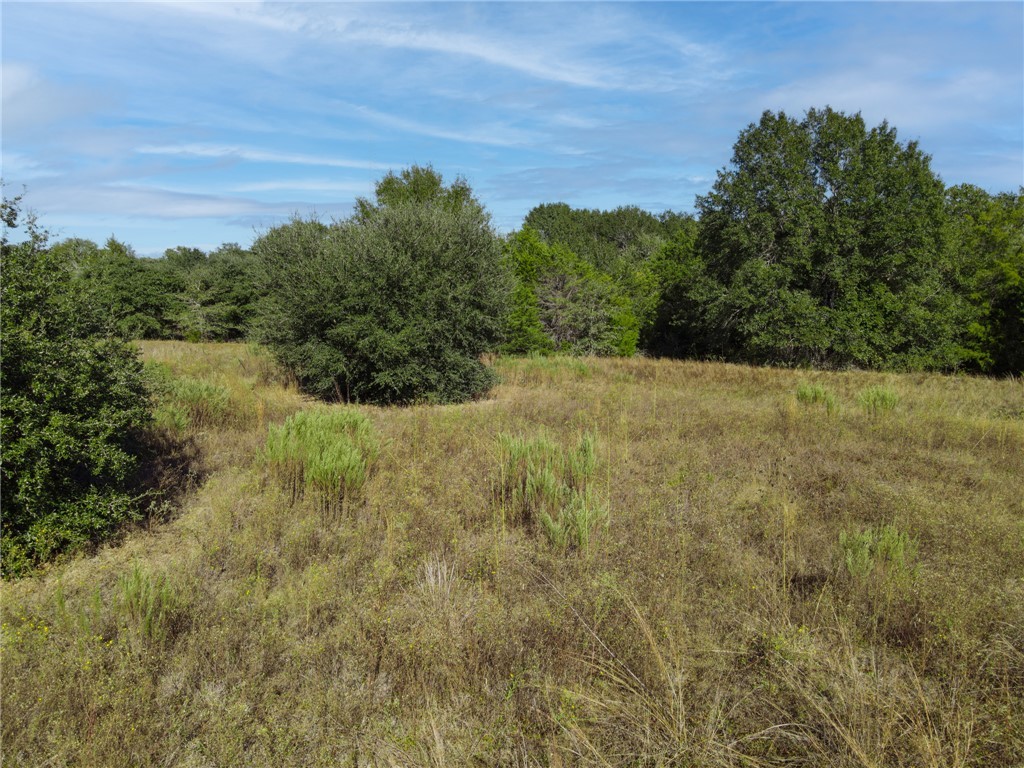 141 St Dime Dime Box, TX 77853 - Photo 3 of 9 a view of a yard with a tree