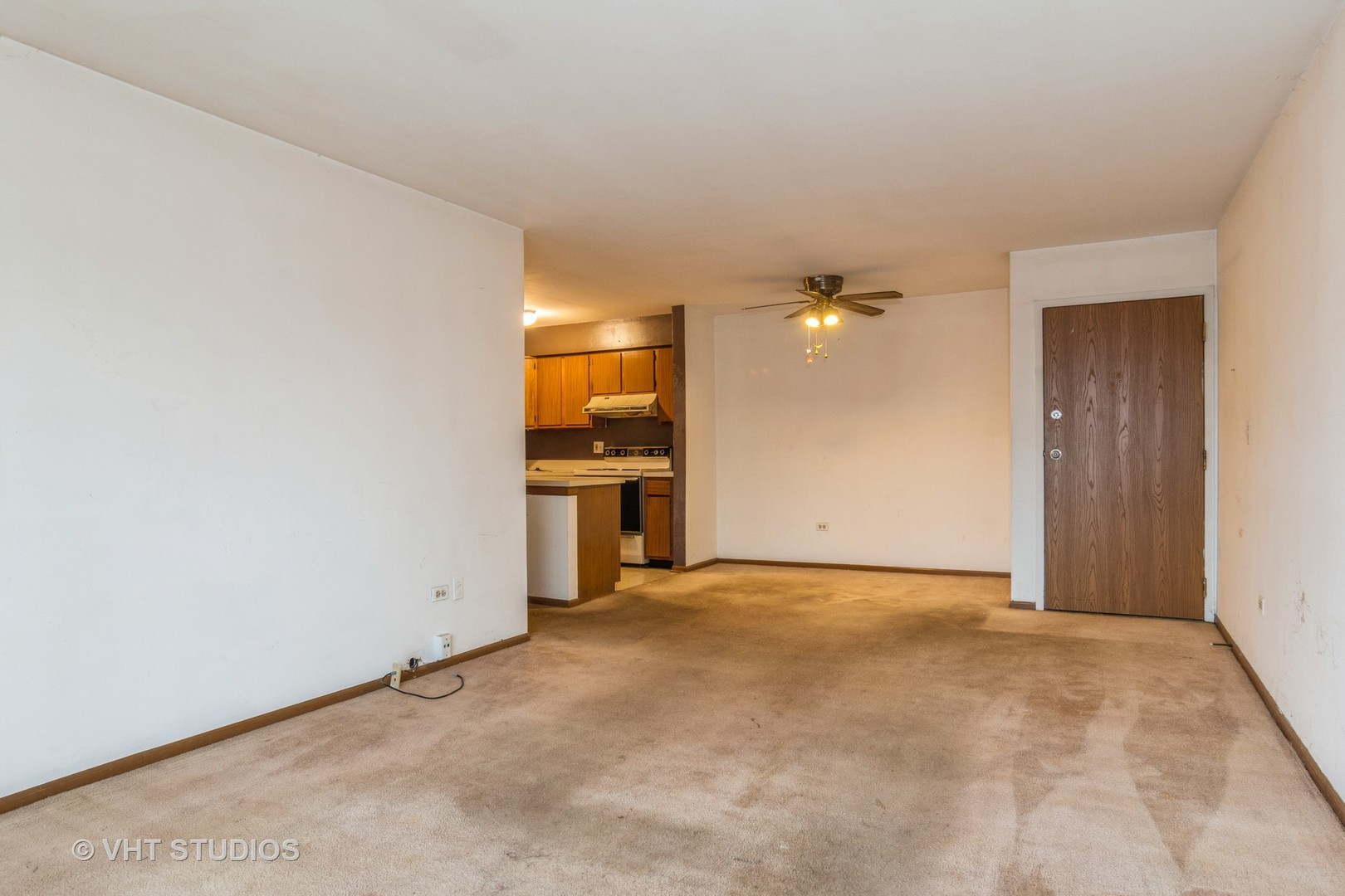 1081 Rodenburg Road, Unit 205 Roselle, IL 60172 - Photo 3 of 9