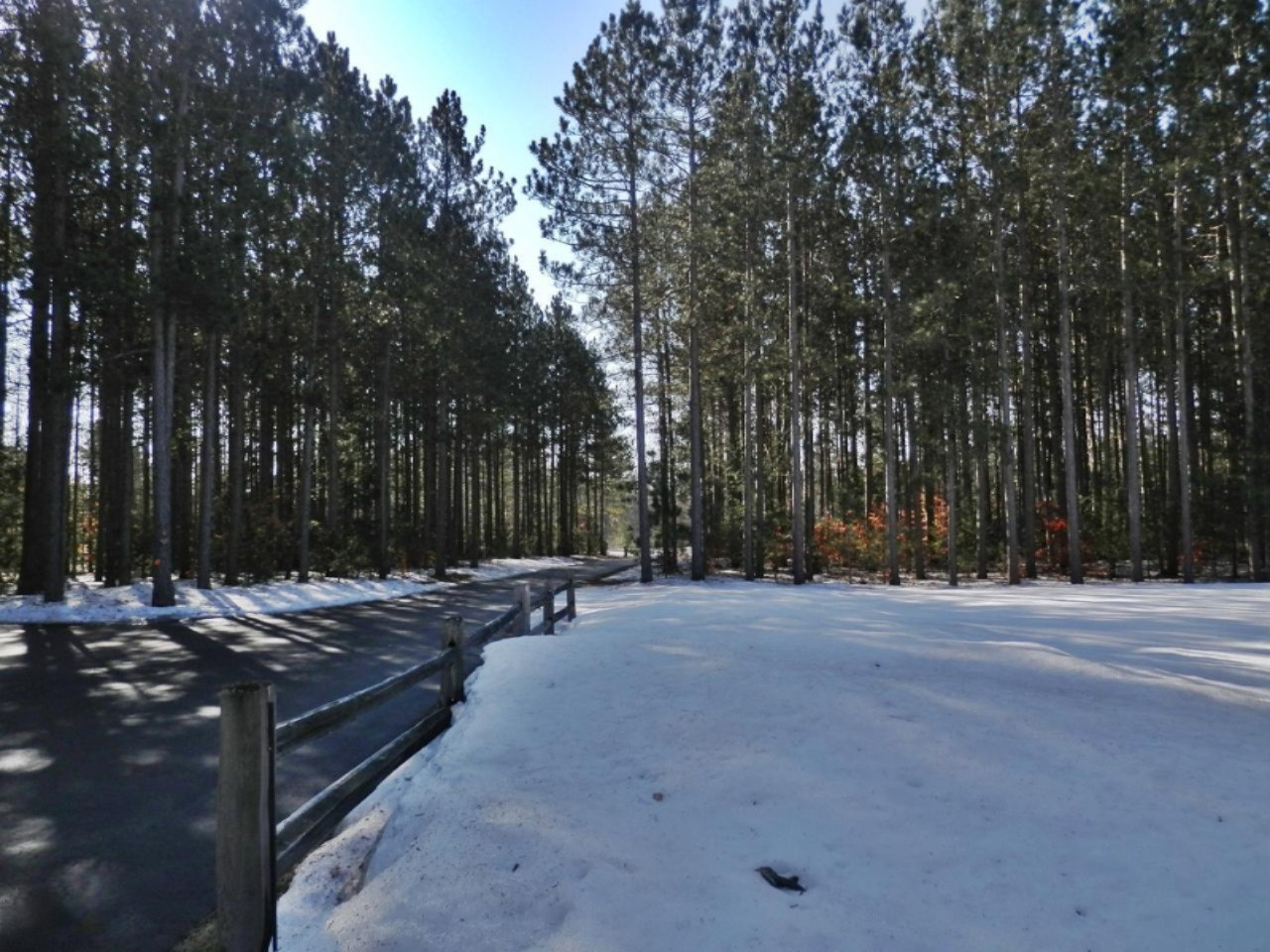 6848 River Road Manistee, MI 49660 - Photo 47 of 56 P2281309