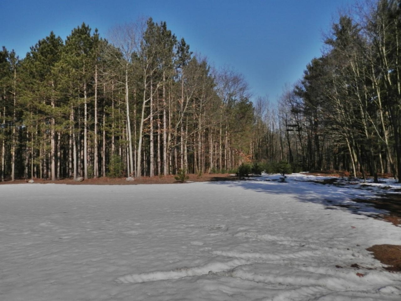 6848 River Road Manistee, MI 49660 - Photo 48 of 56 P2281311
