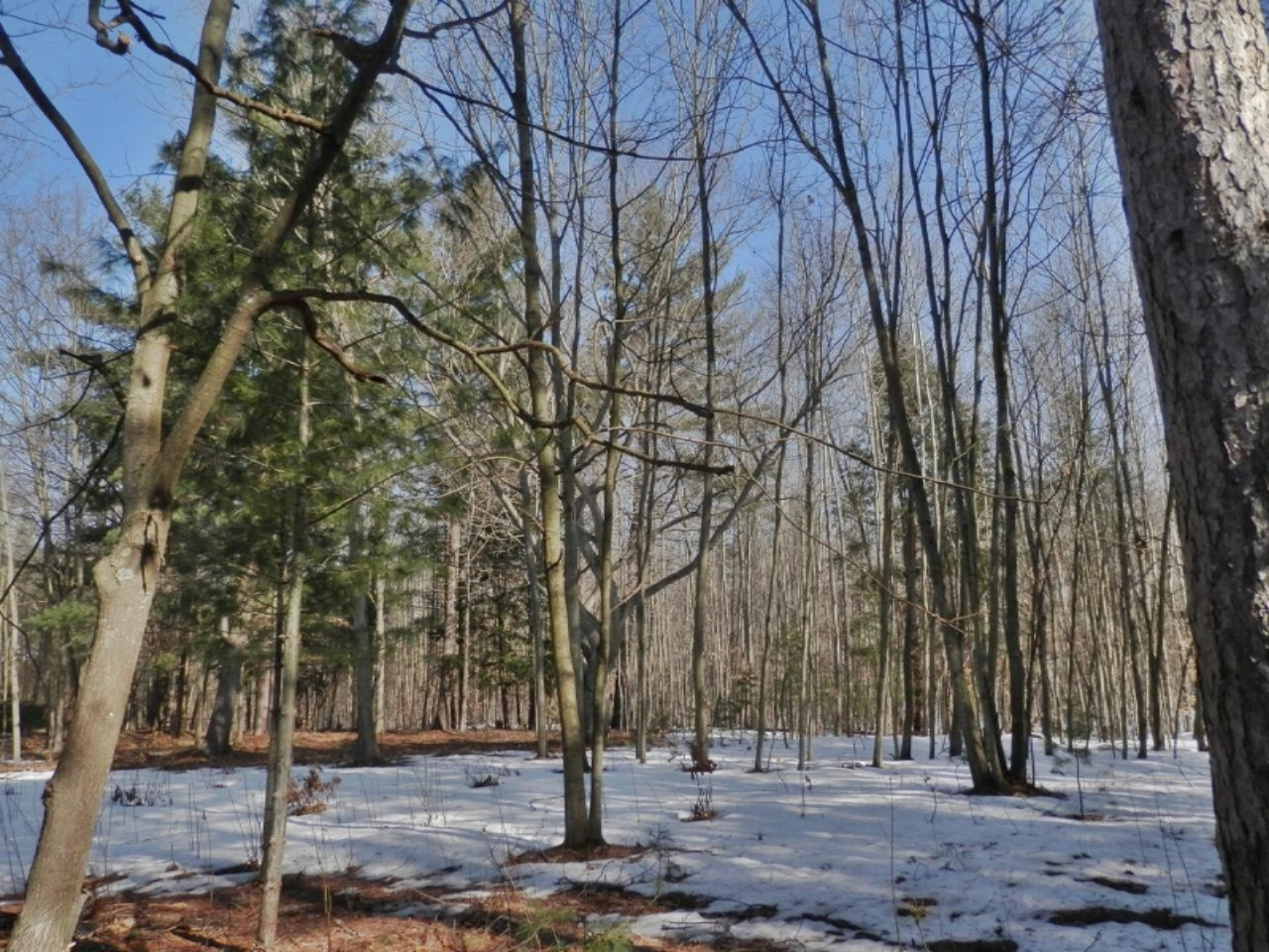 6848 River Road Manistee, MI 49660 - Photo 51 of 56 P2281316