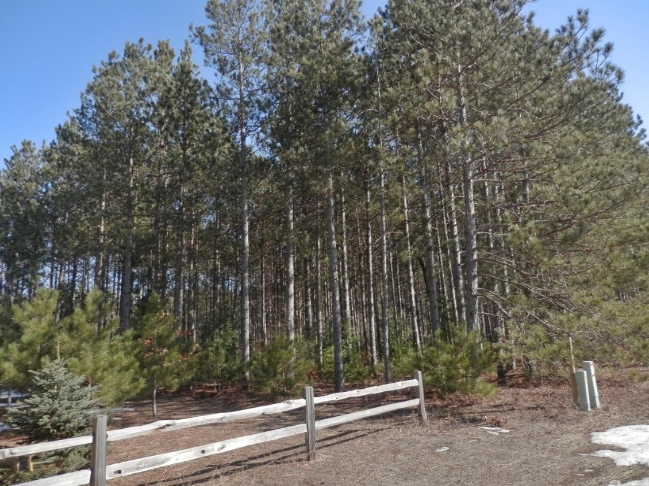 6848 River Road Manistee, MI 49660 - Photo 55 of 56 P2281336