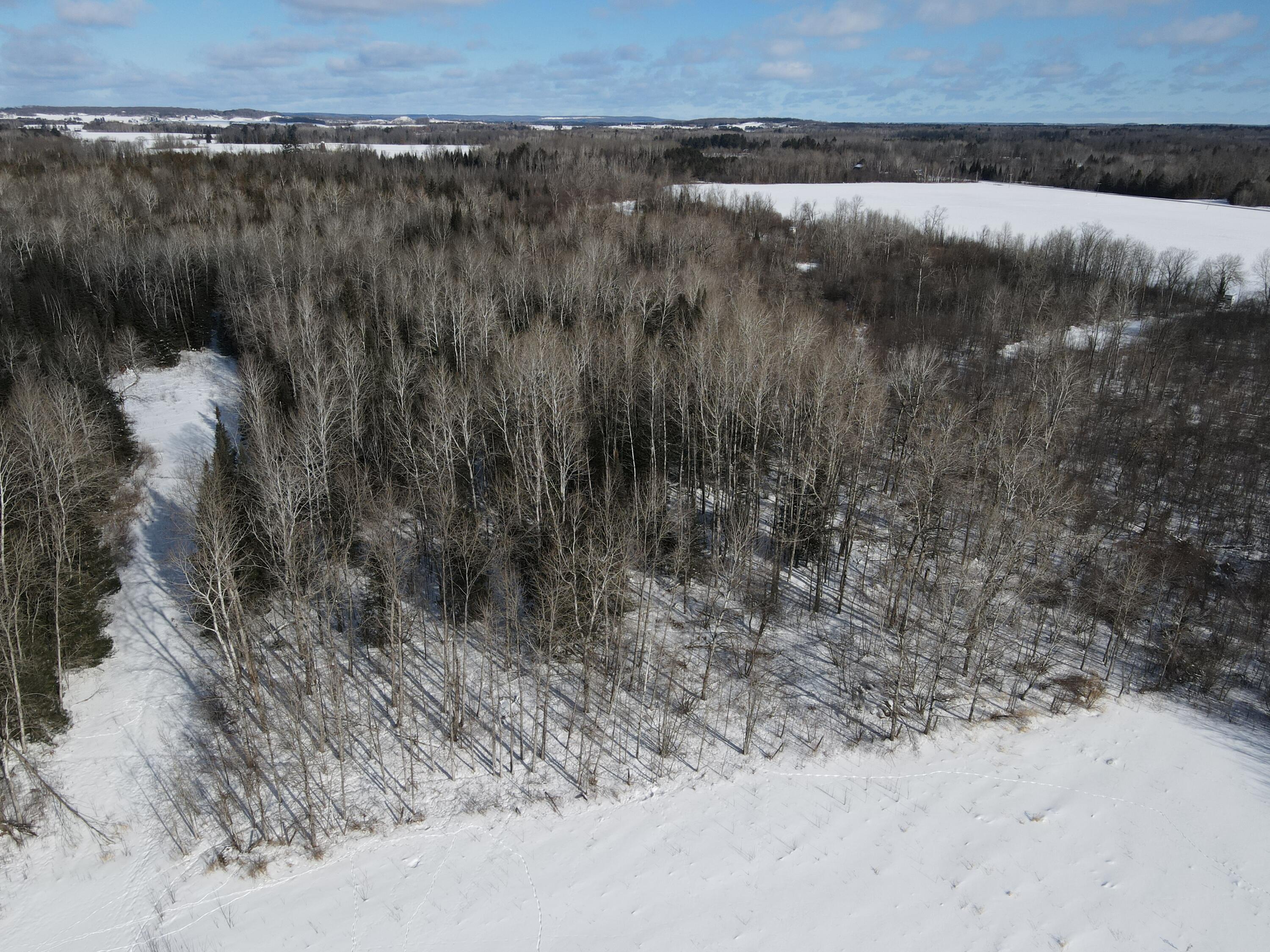 2616 Wickes Road West Branch, MI 48661 - Photo 47 of 84 DJI_0047