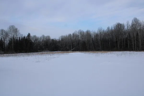 $349,900 | 2616 Wickes Road, West Branch, MI 48661