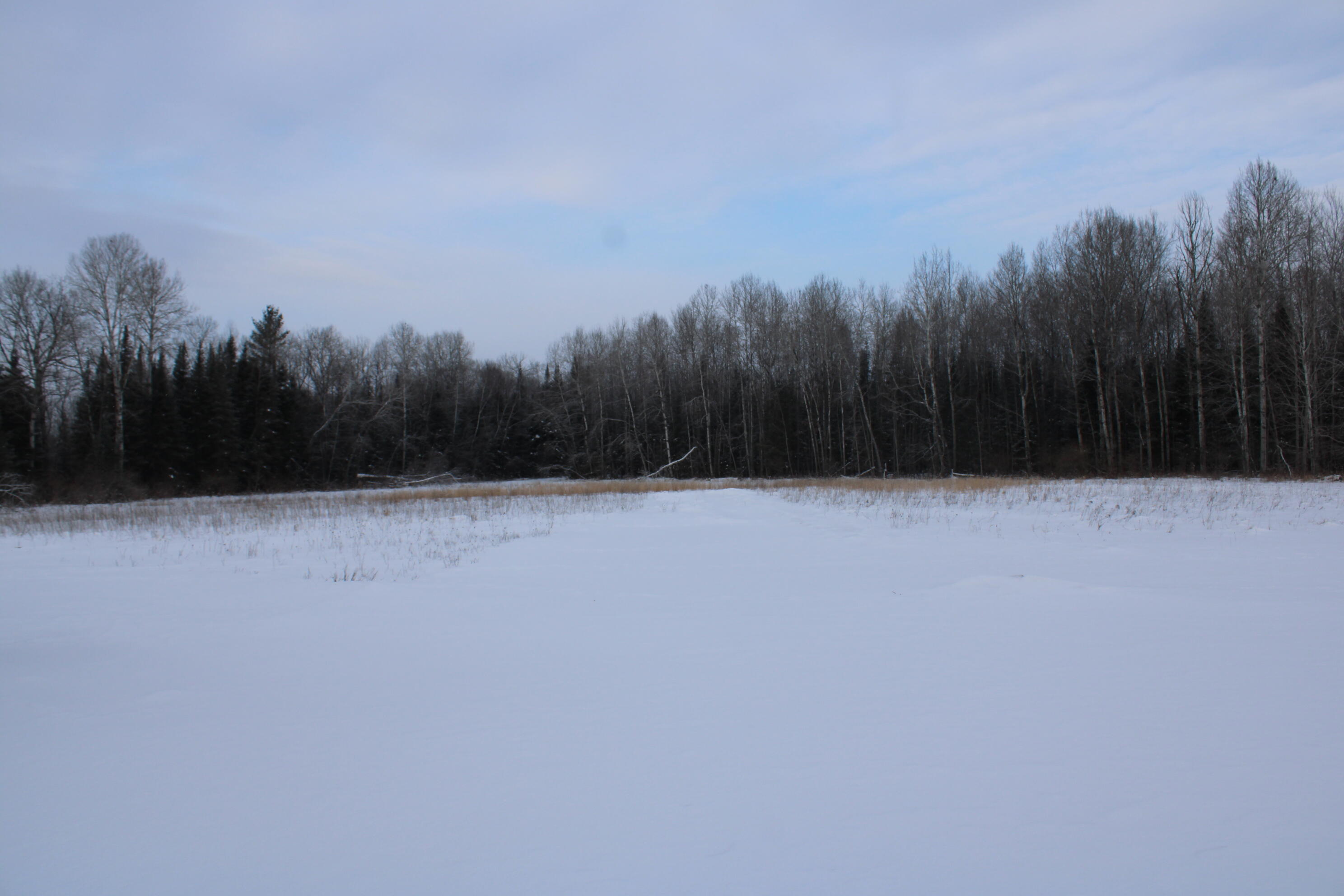 2616 Wickes Road West Branch, MI 48661 - Photo 58 of 84 IMG_5443