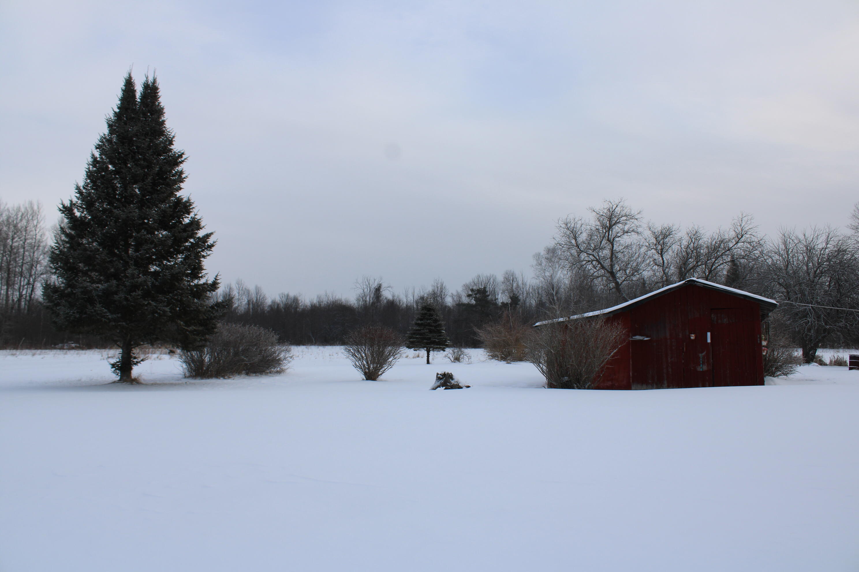 2616 Wickes Road West Branch, MI 48661 - Photo 59 of 84 IMG_5444