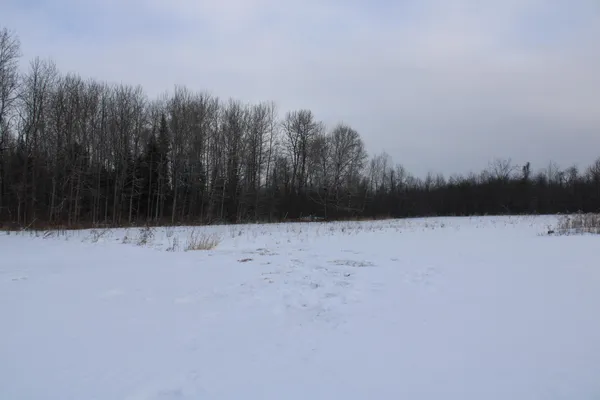$349,900 | 2616 Wickes Road, West Branch, MI 48661