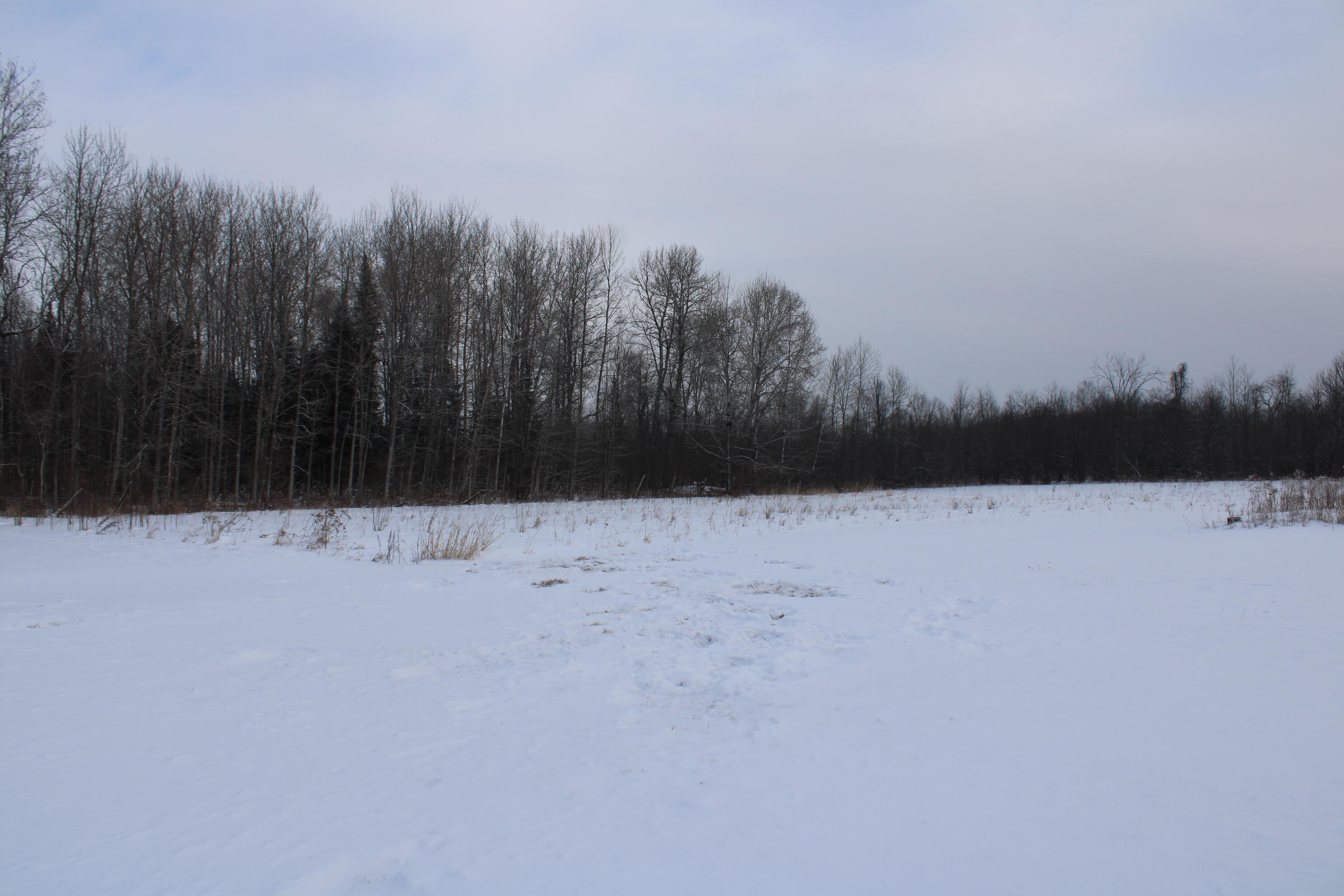 2616 Wickes Road West Branch, MI 48661 - Photo 60 of 84 IMG_5445