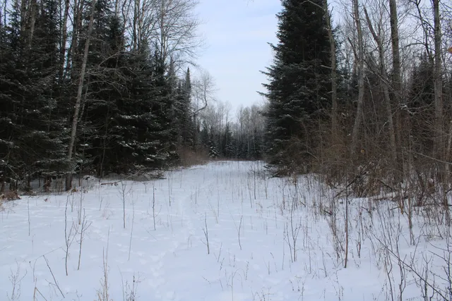 $349,900 | 2616 Wickes Road, West Branch, MI 48661