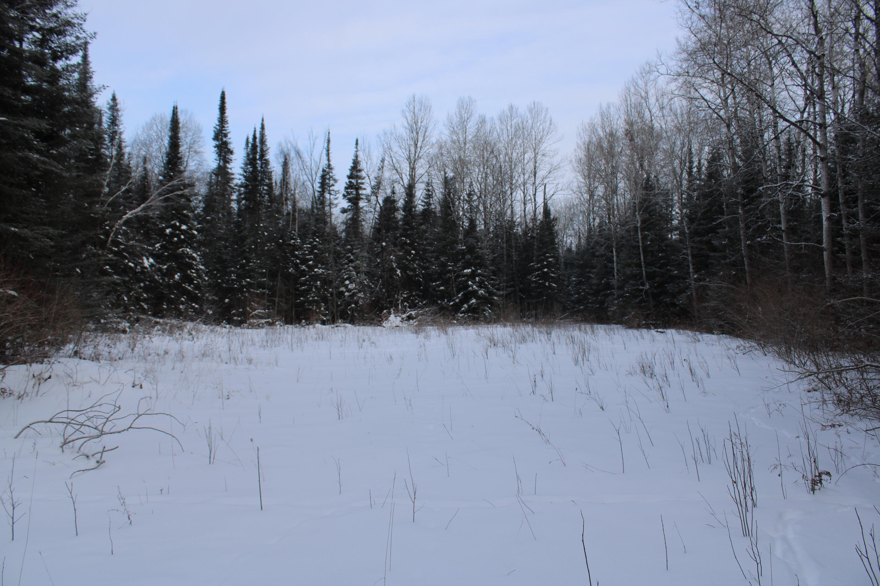 2616 Wickes Road West Branch, MI 48661 - Photo 65 of 84 IMG_5450