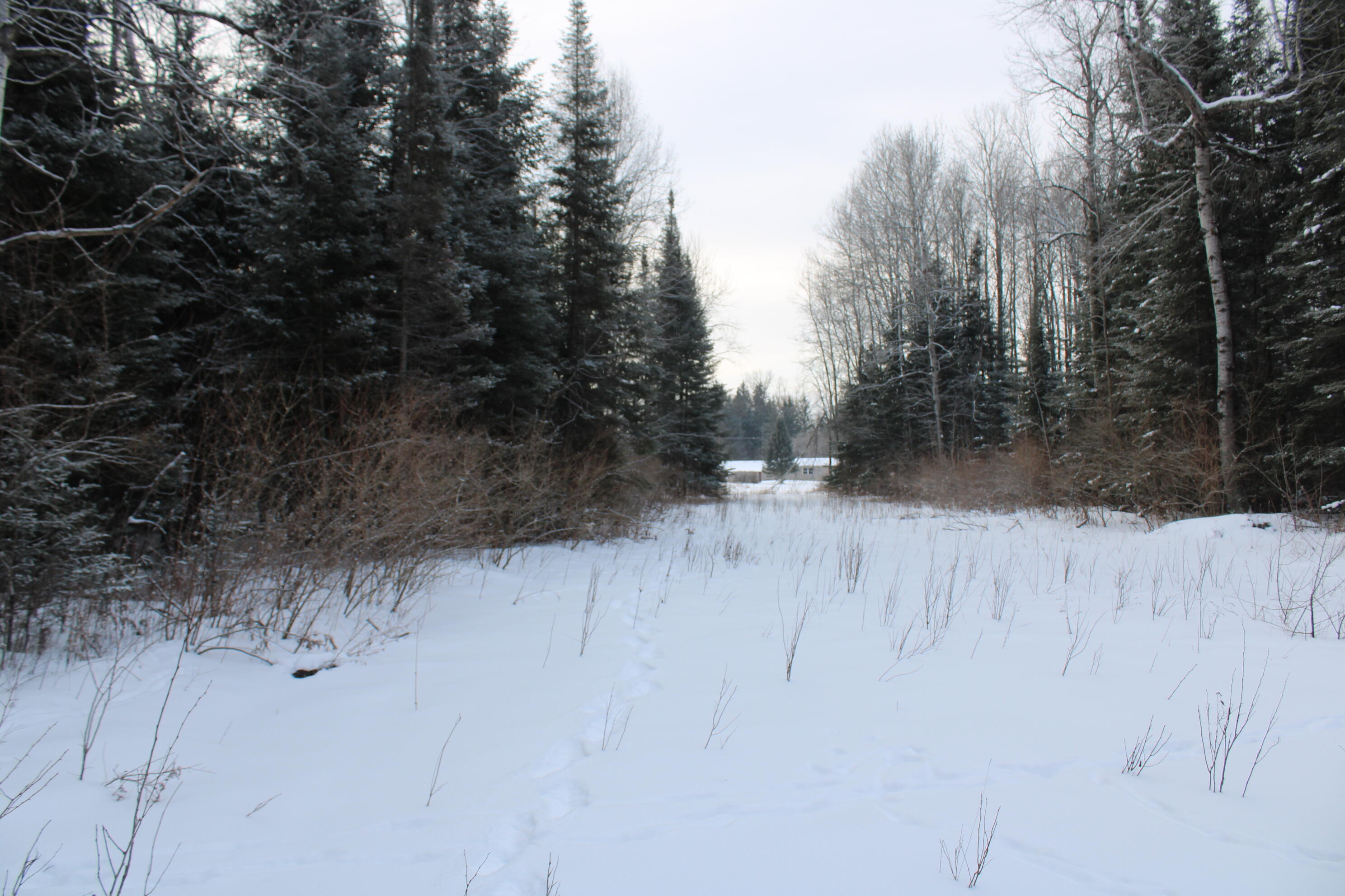 2616 Wickes Road West Branch, MI 48661 - Photo 66 of 84 IMG_5451