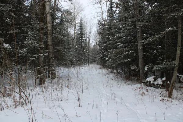 $349,900 | 2616 Wickes Road, West Branch, MI 48661