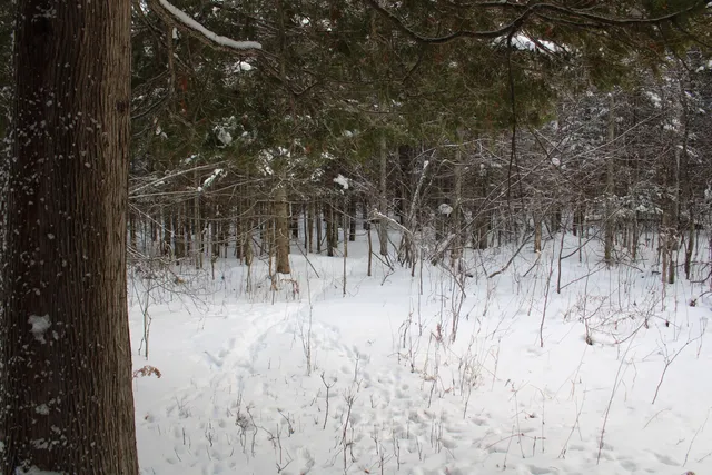 $349,900 | 2616 Wickes Road, West Branch, MI 48661