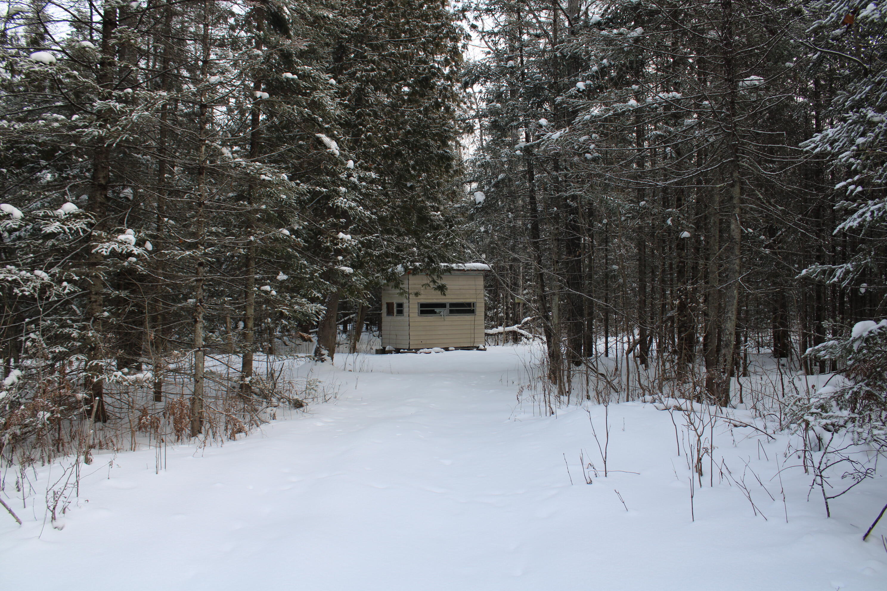 2616 Wickes Road West Branch, MI 48661 - Photo 72 of 84 IMG_5457