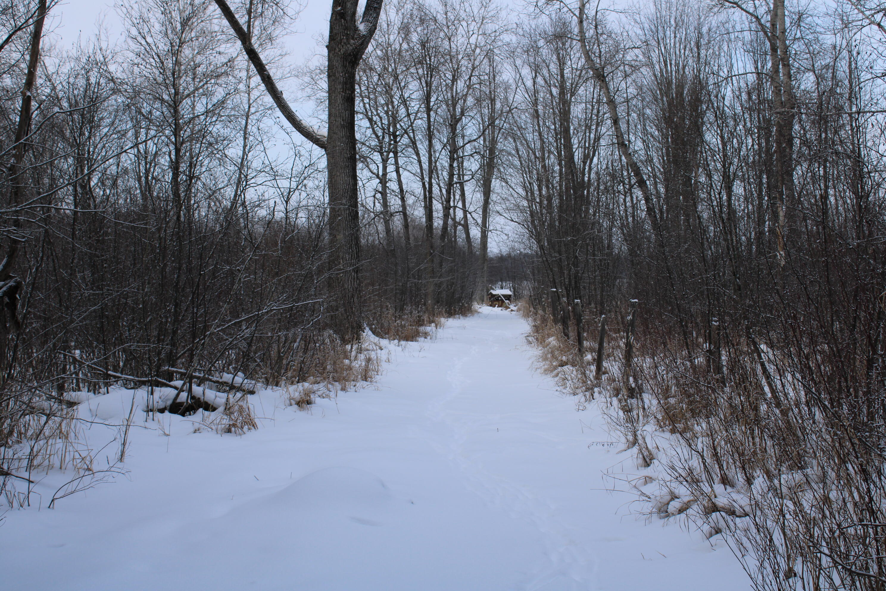 2616 Wickes Road West Branch, MI 48661 - Photo 75 of 84 IMG_5460