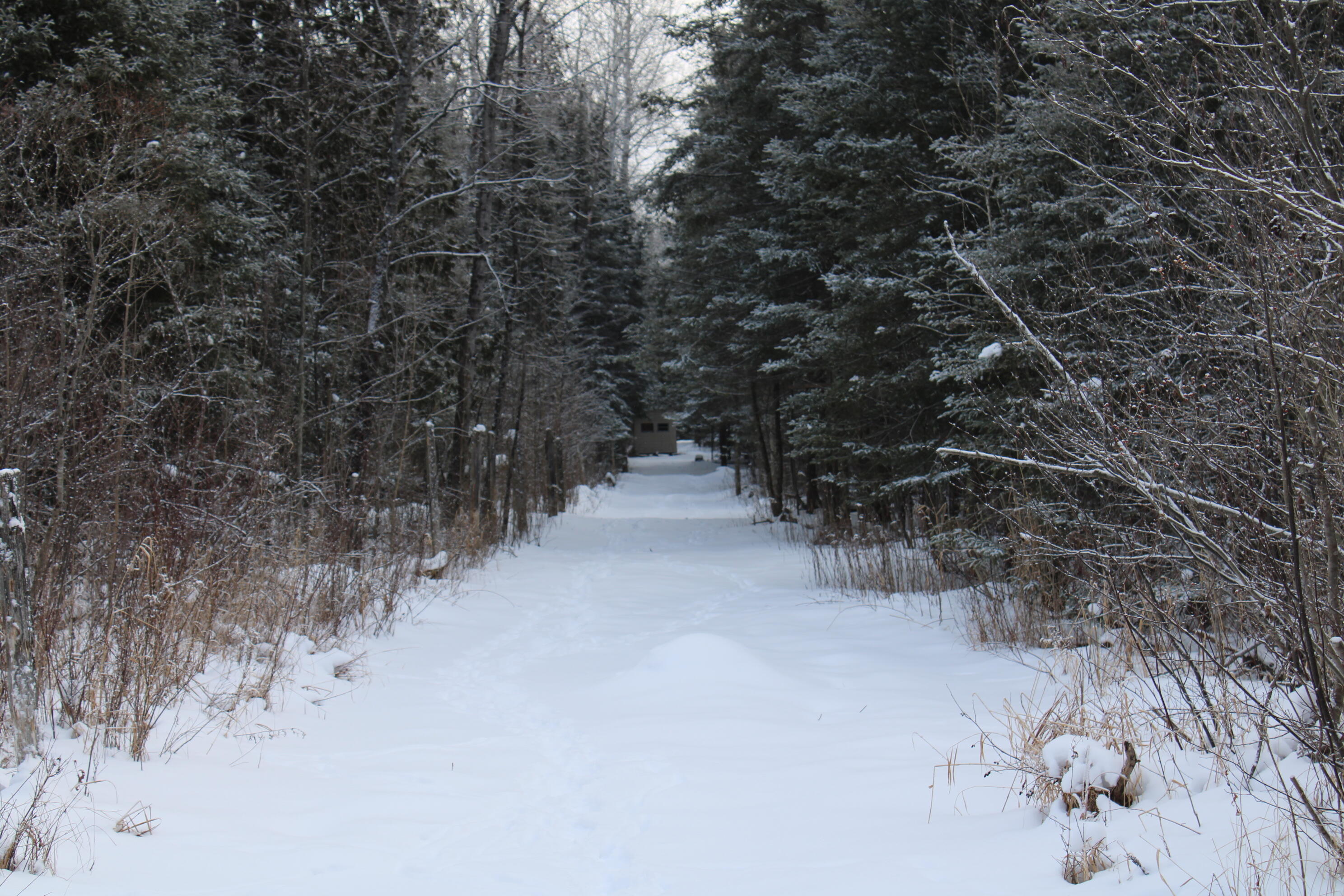 2616 Wickes Road West Branch, MI 48661 - Photo 76 of 84 IMG_5461