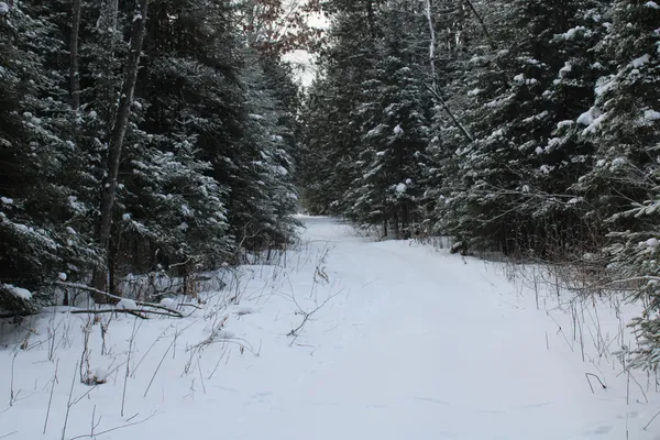 $349,900 | 2616 Wickes Road, West Branch, MI 48661