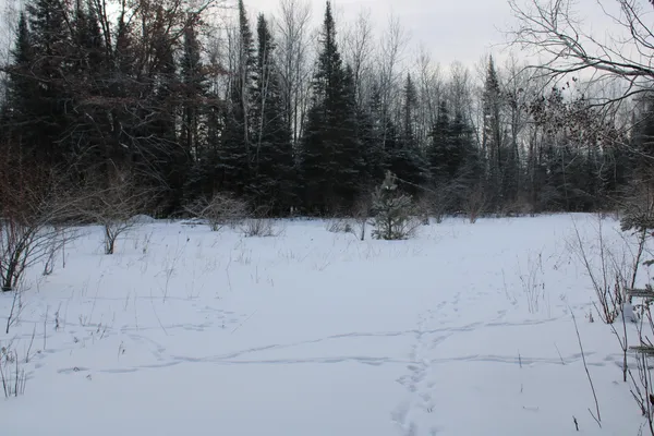 $349,900 | 2616 Wickes Road, West Branch, MI 48661