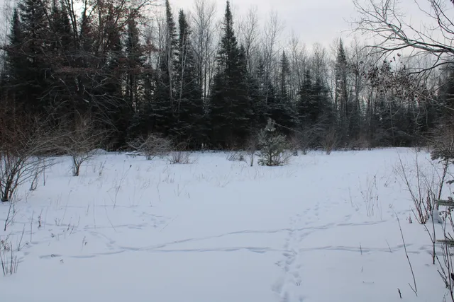 $349,900 | 2616 Wickes Road, West Branch, MI 48661