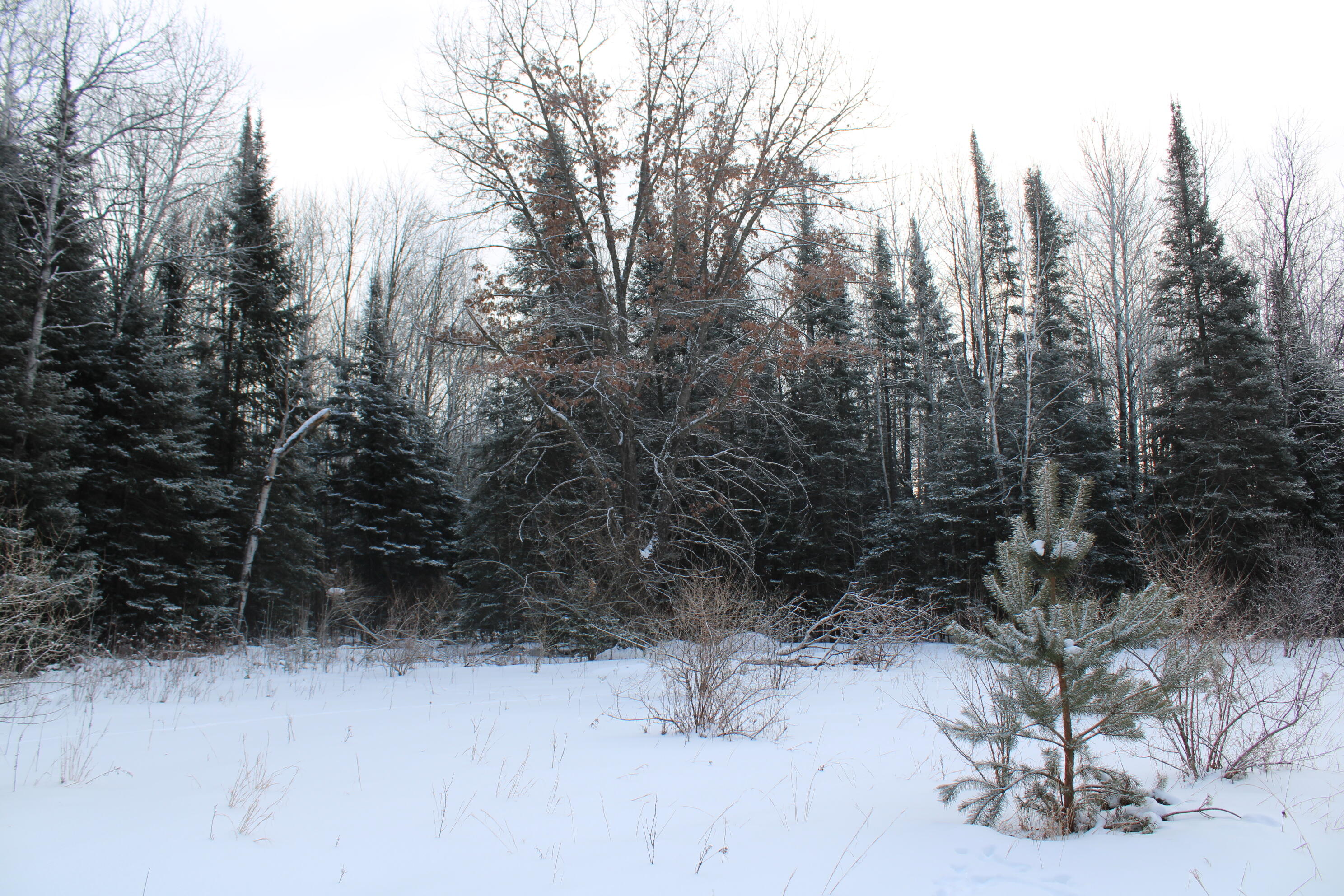 2616 Wickes Road West Branch, MI 48661 - Photo 80 of 84 IMG_5466