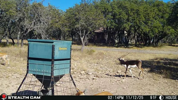 $2,200,000 | 1305 Northwest Camino Real Mountain, Junction, TX 76849