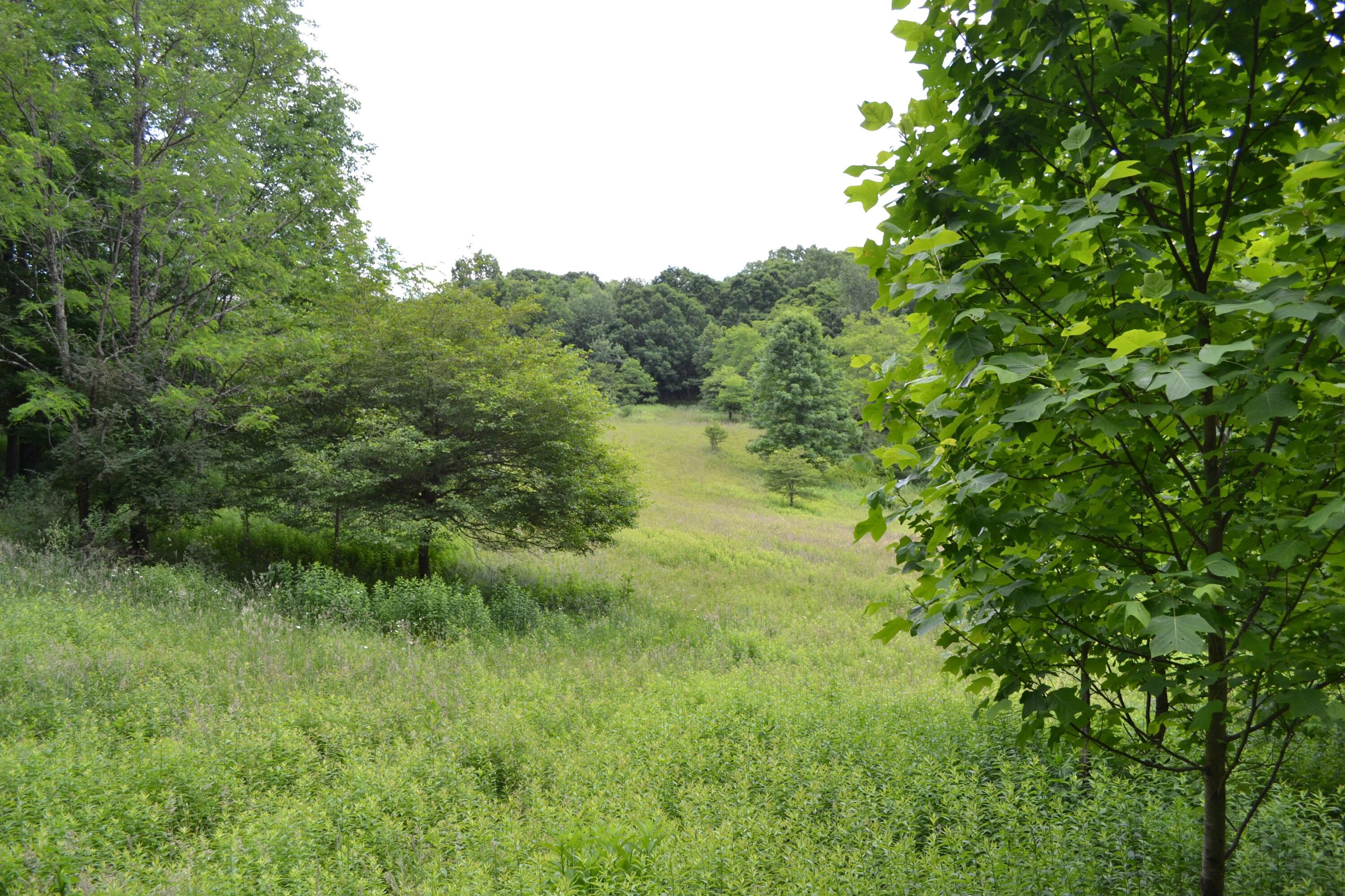 6299 Edray Road Cass, WV 24927 - Photo 2 of 9 Gallery Image 2