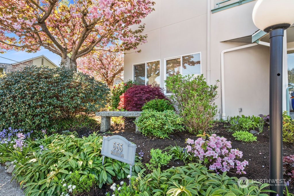 555 Walnut Street, Unit 6 Edmonds, WA 98020 - Photo 1 of 28 Gallery Image 1