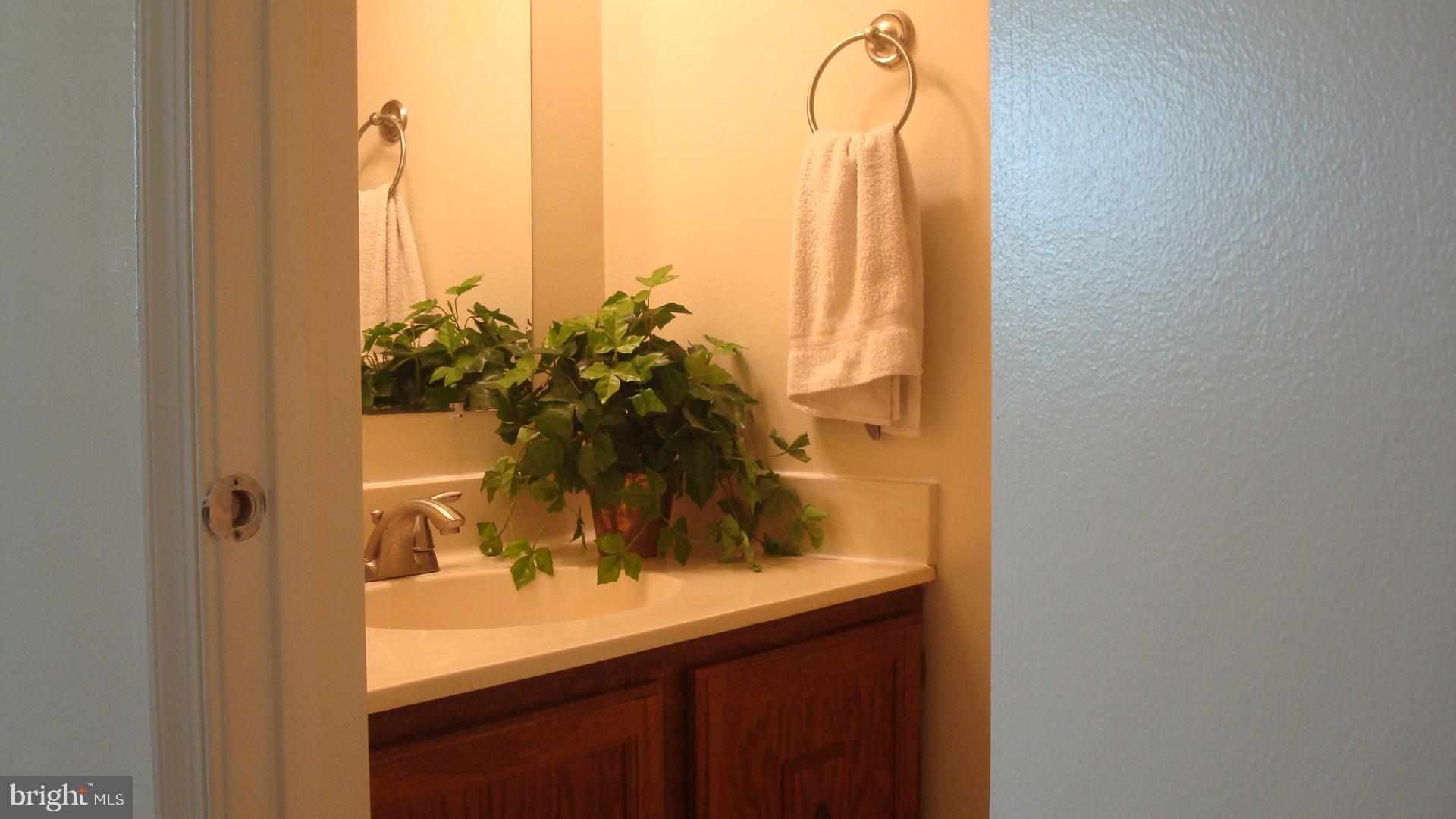 5541 Ridgeton Hill Court Fairfax, VA 22032 - Photo 21 of 49