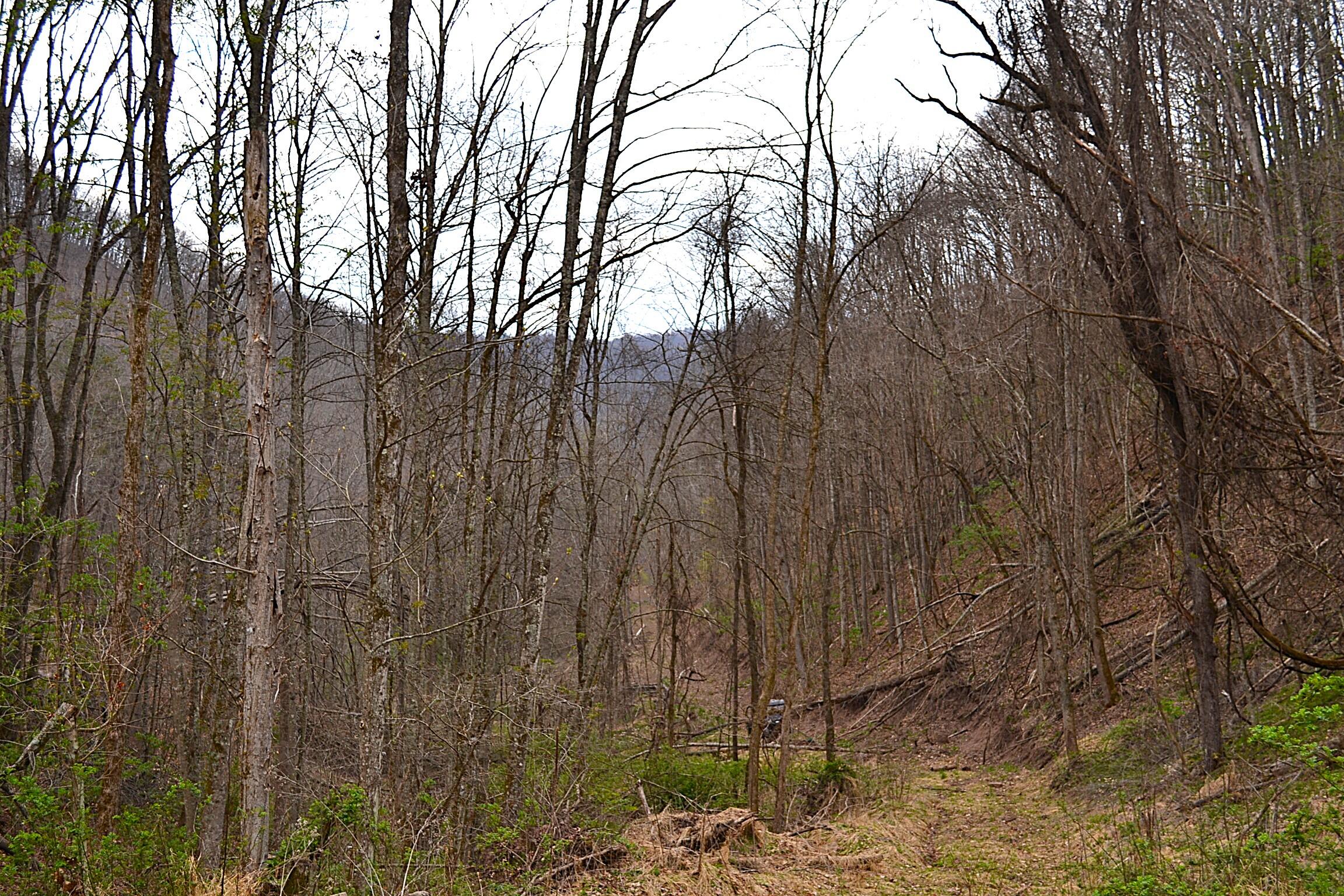 Snake Run Road Alderson, WV 24910 - Photo 12 of 24 Land View