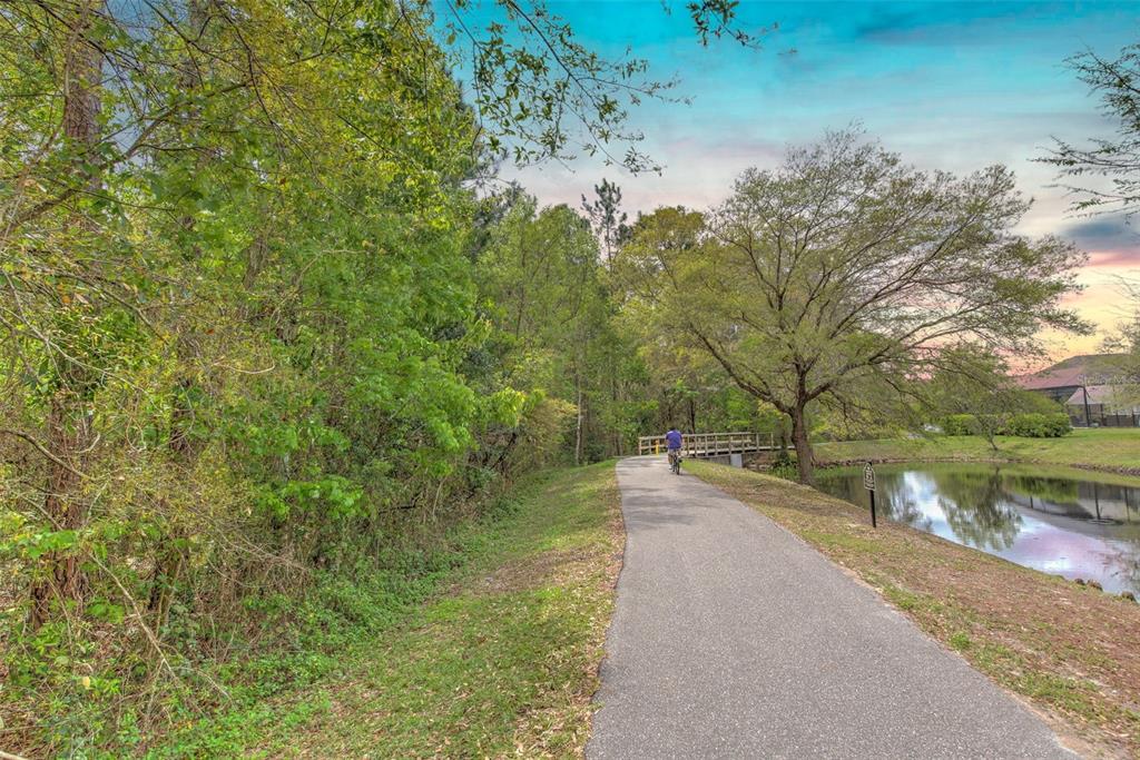 27601 Baybrook Loop Wesley Chapel, FL 33544 - Photo 30 of 34
