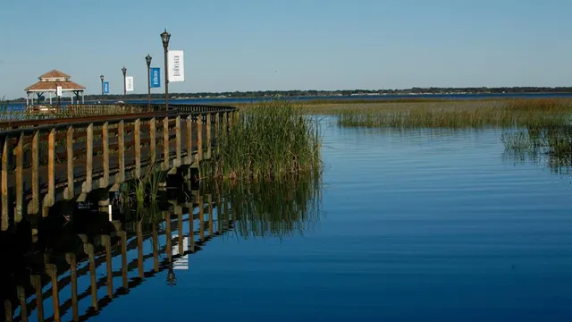 a view of outdoor space yard and swimming pool