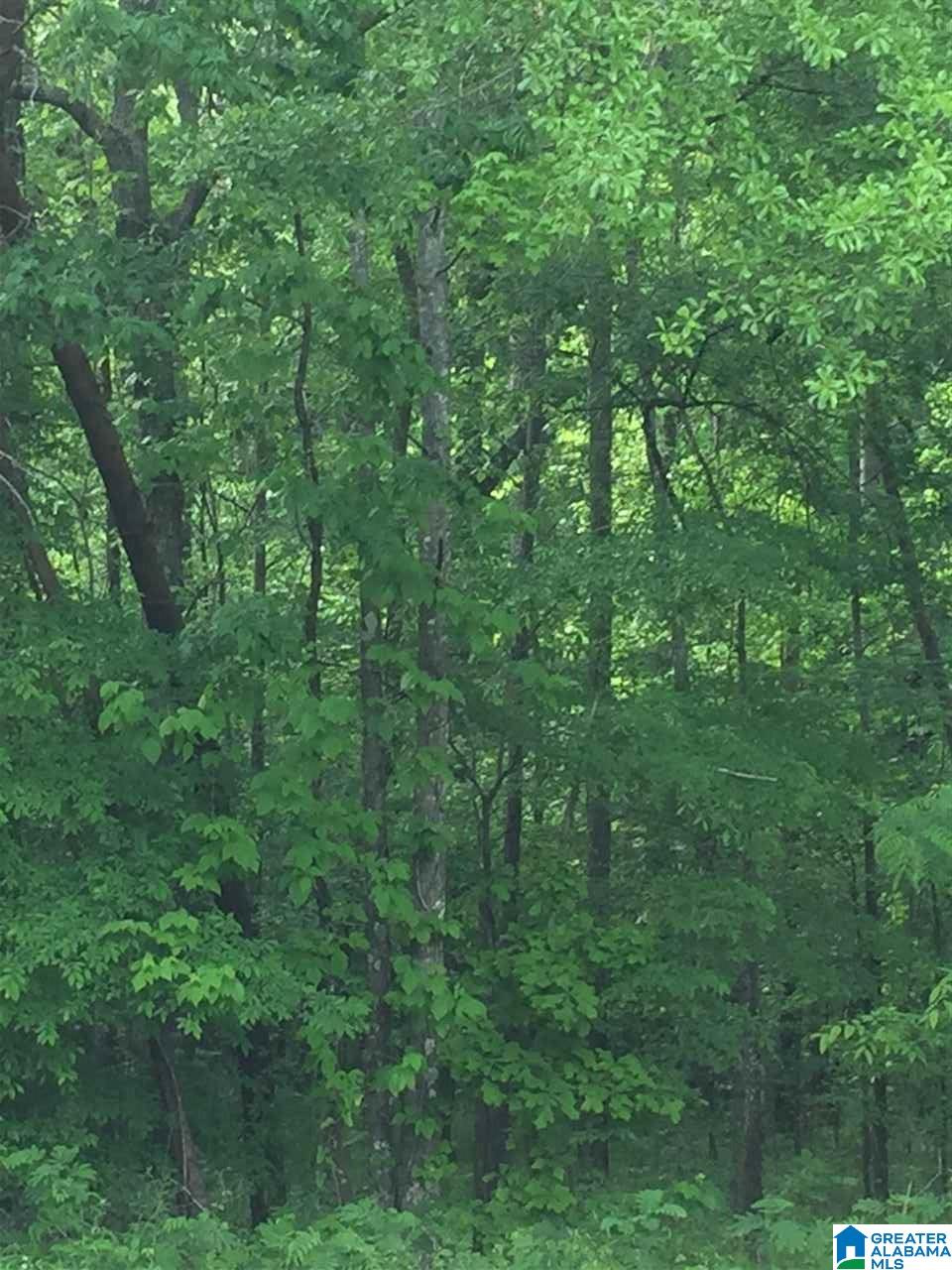 Old Village Road McCalla, AL 35111 - Photo 8 of 12